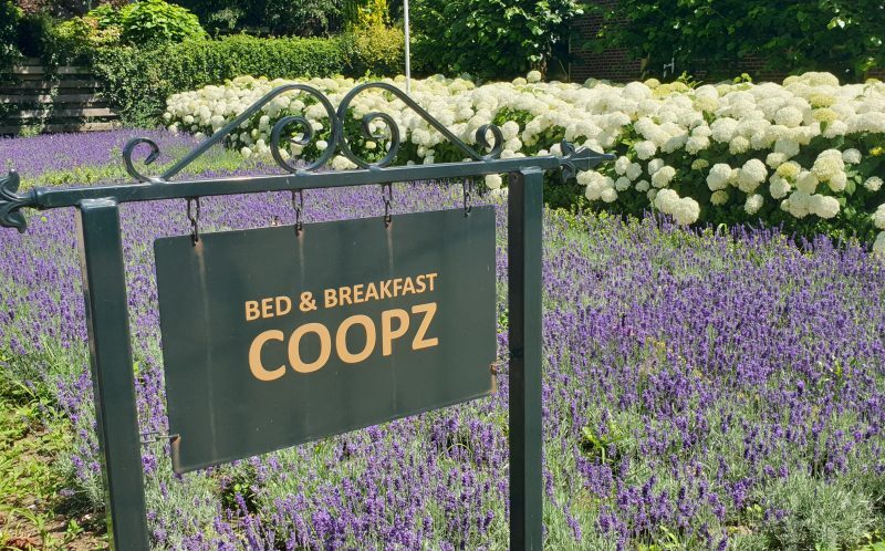 bed en breakfast tip van orangerie de pol